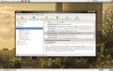 Liferea Screenshot